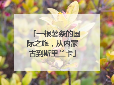 一根薯条的国际之旅，从内蒙古到斯里兰卡