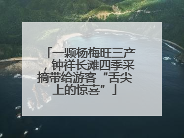 一颗杨梅旺三产，钟祥长滩四季采摘带给游客“舌尖上的惊喜”