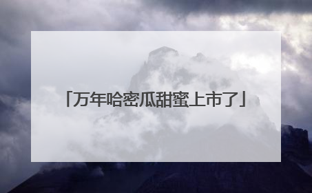 万年哈密瓜甜蜜上市了