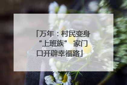 万年：村民变身“上班族” 家门口开辟幸福路