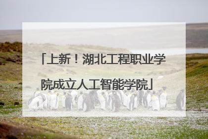 上新！湖北工程职业学院成立人工智能学院
