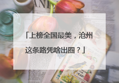 上榜全国最美，沧州这条路凭啥出圈？