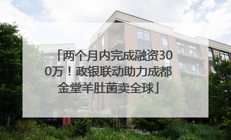 两个月内完成融资300万！政银联动助力成都金堂羊肚菌卖全球