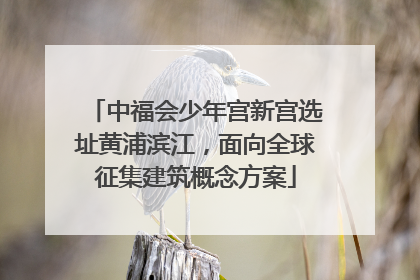 中福会少年宫新宫选址黄浦滨江，面向全球征集建筑概念方案