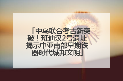 中乌联合考古新突破！班迪汉2号遗址揭示中亚南部早期铁器时代城邦文明