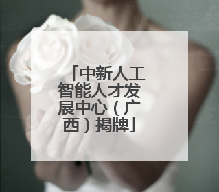 中新人工智能人才发展中心（广西）揭牌