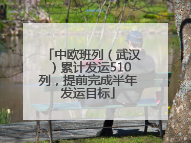 中欧班列（武汉）累计发运510列，提前完成半年发运目标