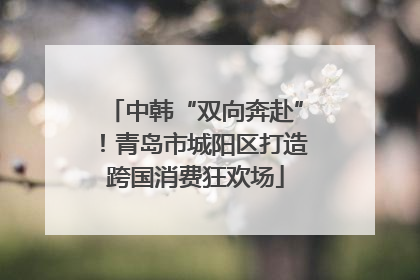中韩“双向奔赴”！青岛市城阳区打造跨国消费狂欢场