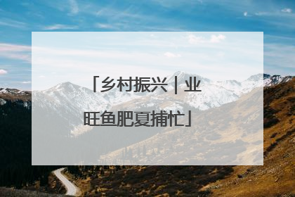 乡村振兴｜业旺鱼肥夏捕忙