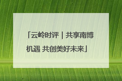 云岭时评｜共享南博机遇 共创美好未来