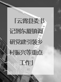 云霄县委书记到东厦镇调研党建引领乡村振兴等重点工作