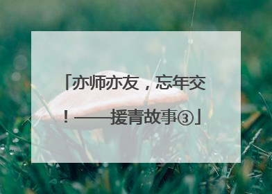 亦师亦友，忘年交！——援青故事③