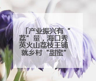 产业振兴有“荔”量，海口秀英火山荔枝王铺就乡村“甜蜜”致富路