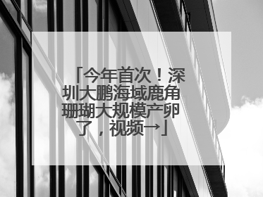 今年首次！深圳大鹏海域鹿角珊瑚大规模产卵了，视频→