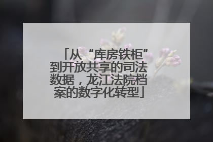 从“库房铁柜”到开放共享的司法数据，龙江法院档案的数字化转型