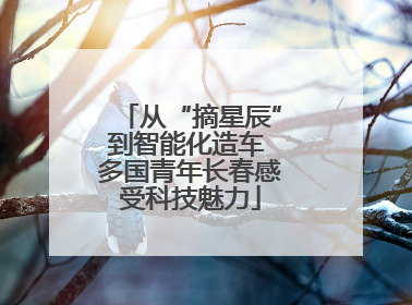从“摘星辰”到智能化造车 多国青年长春感受科技魅力