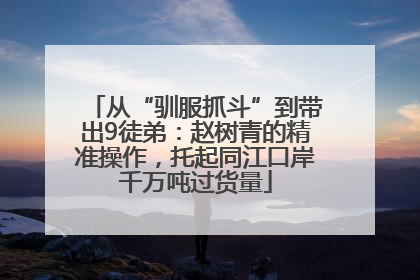 从“驯服抓斗”到带出9徒弟：赵树青的精准操作，托起同江口岸千万吨过货量