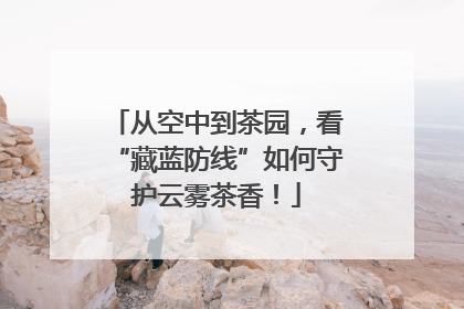 从空中到茶园，看“藏蓝防线”如何守护云雾茶香！