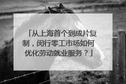 从上海首个到成片复制，闵行零工市场如何优化劳动就业服务？
