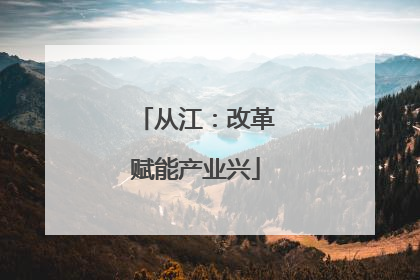 从江：改革赋能产业兴