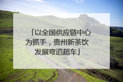以全国供应链中心为抓手，贵州新茶饮发展弯道超车