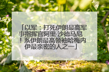 以军：打死伊朗最高军事指挥官阿里·沙德马尼！系伊朗最高领袖哈梅内伊最亲密的人之一