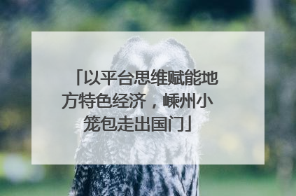 以平台思维赋能地方特色经济，嵊州小笼包走出国门