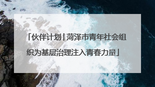 伙伴计划│菏泽市青年社会组织为基层治理注入青春力量