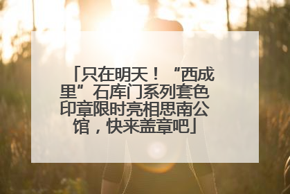 只在明天！“西成里”石库门系列套色印章限时亮相思南公馆，快来盖章吧