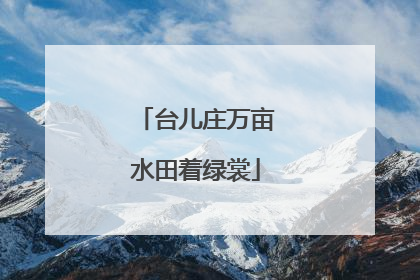 台儿庄万亩水田着绿裳