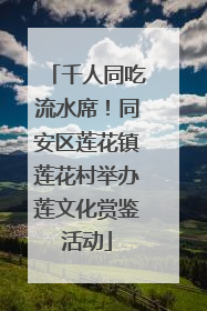 千人同吃流水席！同安区莲花镇莲花村举办莲文化赏鉴活动
