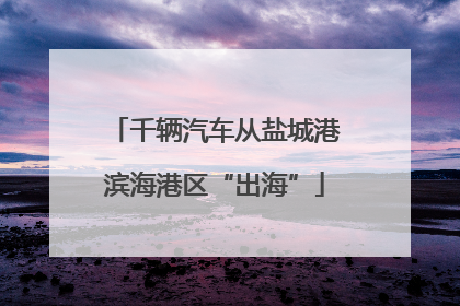 千辆汽车从盐城港滨海港区“出海”