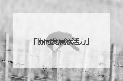 协同发展添活力