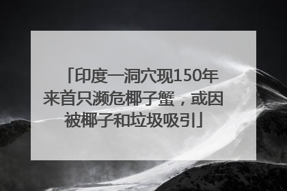 印度一洞穴现150年来首只濒危椰子蟹，或因被椰子和垃圾吸引