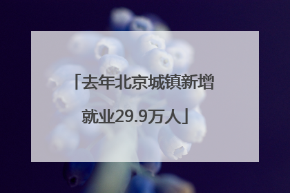 去年北京城镇新增就业29.9万人