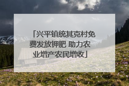 兴平镇统其克村免费发放钾肥 助力农业增产农民增收