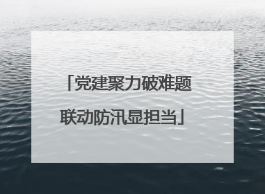 党建聚力破难题 联动防汛显担当
