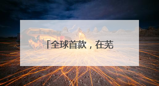 全球首款，在芜湖成功首飞！