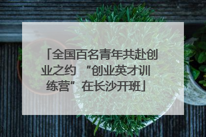 全国百名青年共赴创业之约 “创业英才训练营”在长沙开班
