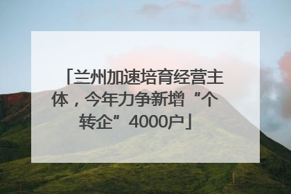 兰州加速培育经营主体，今年力争新增“个转企”4000户