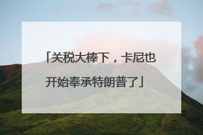 关税大棒下，卡尼也开始奉承特朗普了