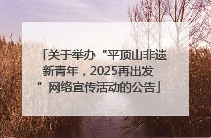 关于举办“平顶山非遗新青年，2025再出发”网络宣传活动的公告