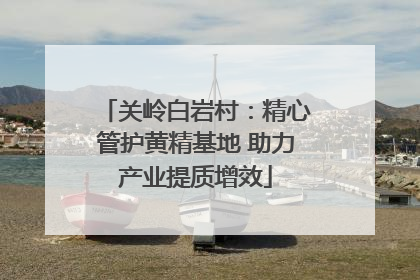 关岭白岩村：精心管护黄精基地 助力产业提质增效