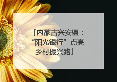 内蒙古兴安盟：“阳光银行”点亮乡村振兴路