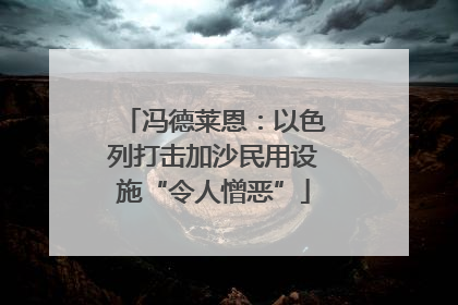 冯德莱恩：以色列打击加沙民用设施“令人憎恶”