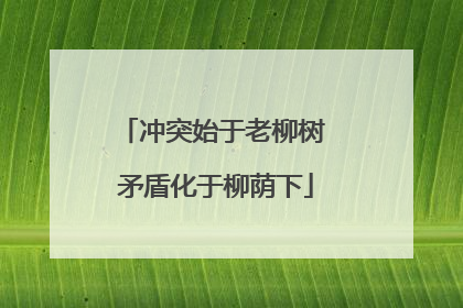 冲突始于老柳树 矛盾化于柳荫下