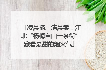 凌晨摘、清晨卖，江北“杨梅自由一条街”藏着最甜的烟火气