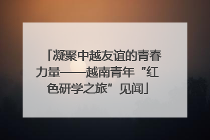 凝聚中越友谊的青春力量——越南青年“红色研学之旅”见闻