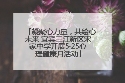 凝聚心力量，共绘心未来 宜宾三江新区宋家中学开展5·25心理健康月活动