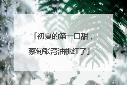 初夏的第一口甜，蔡甸张湾油桃红了
